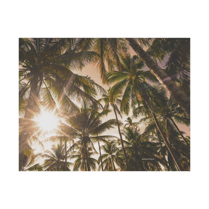 Palm Trees, Matte Horizontal Poster