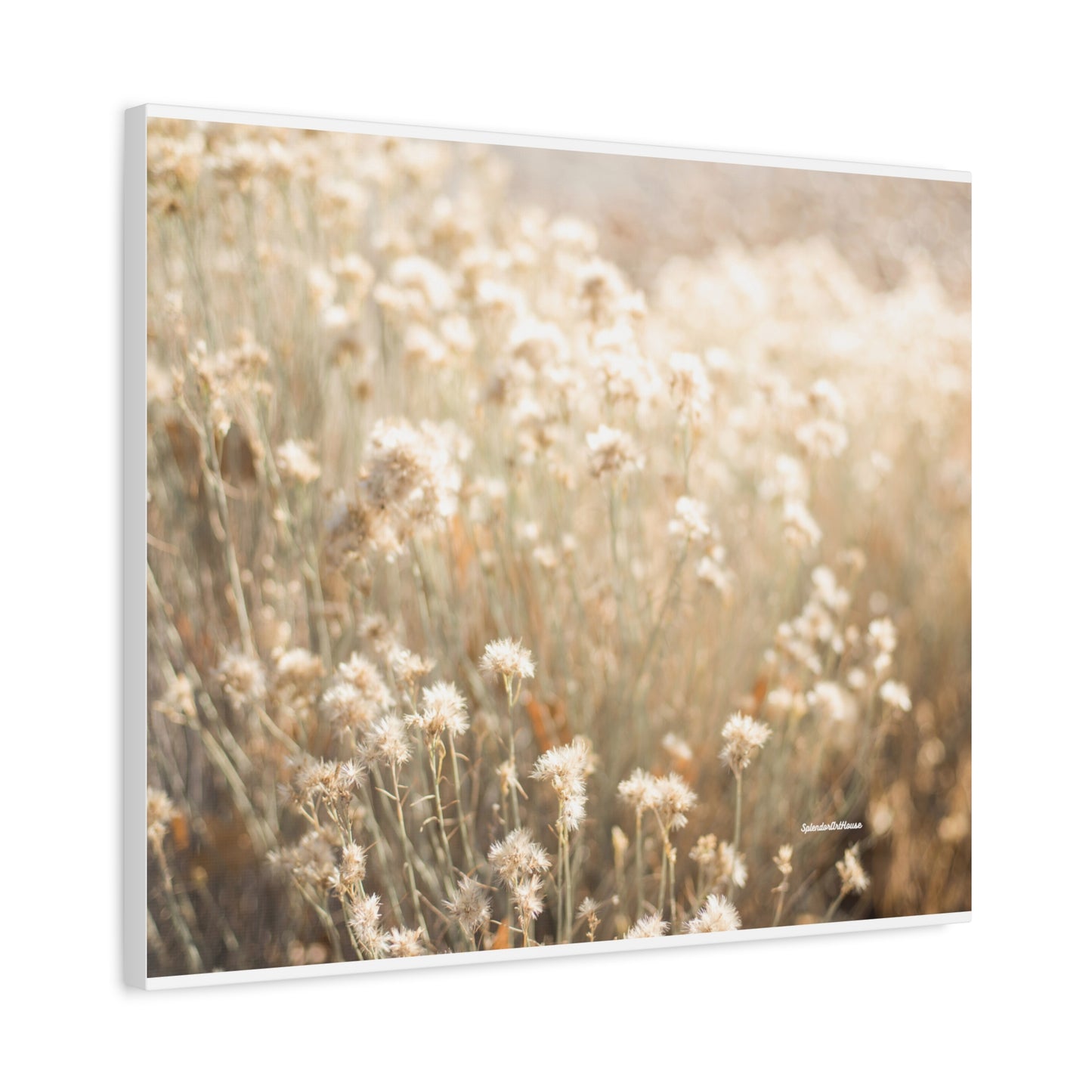 Floral, Matte Canvas, Stretched, 1.25"