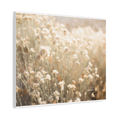 Floral, Matte Canvas, Stretched, 1.25"