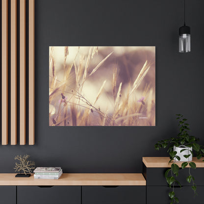 Grass, Matte Canvas, Stretched, 1.25"