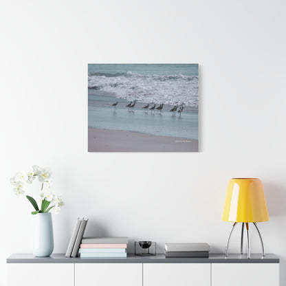 Birds, Matte Canvas, Stretched, 1.25"