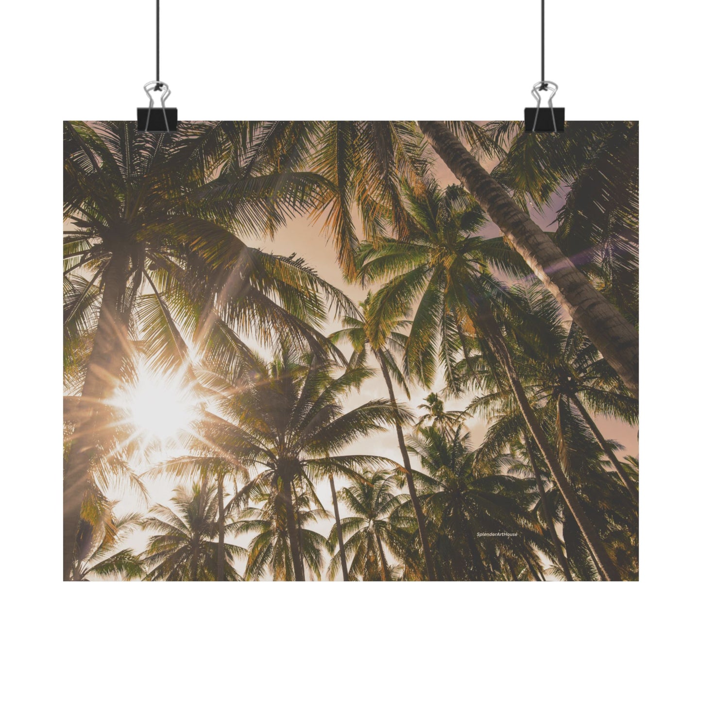 Palm Trees, Matte Horizontal Poster