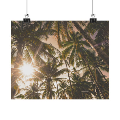 Palm Trees, Matte Horizontal Poster