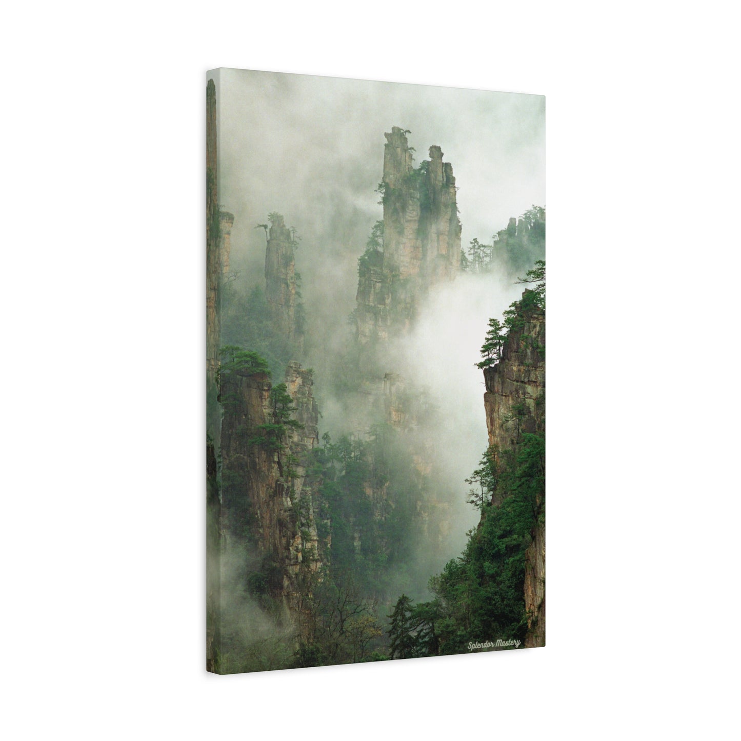 Forest, Matte Canvas, Stretched, 1.25"