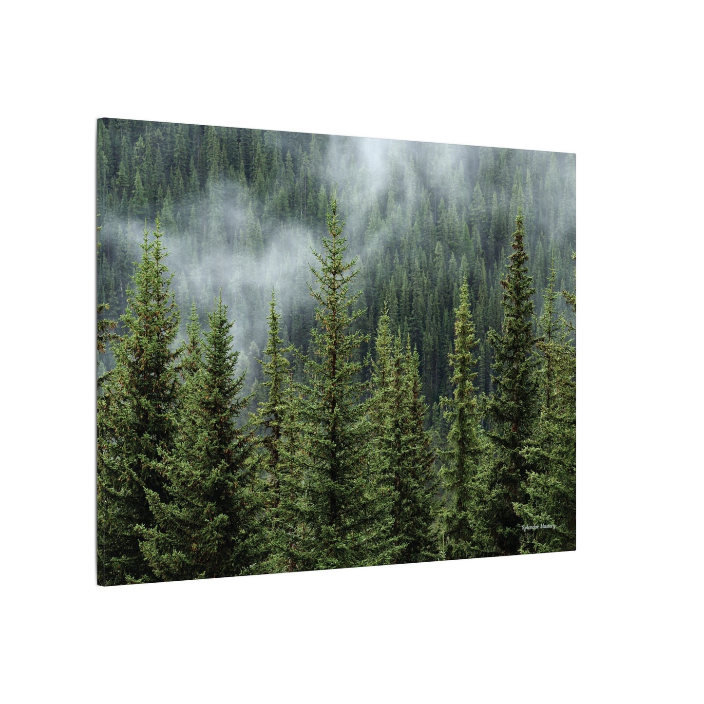 Trees, Matte Canvas, Stretched, 0.75"