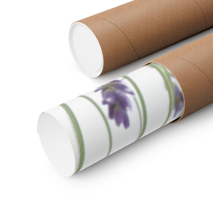 Floral, Matte Poster