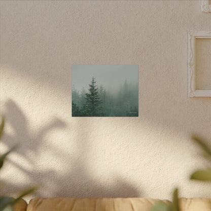 Forest Trees, Matte Canvas, Stretched, 0.75"