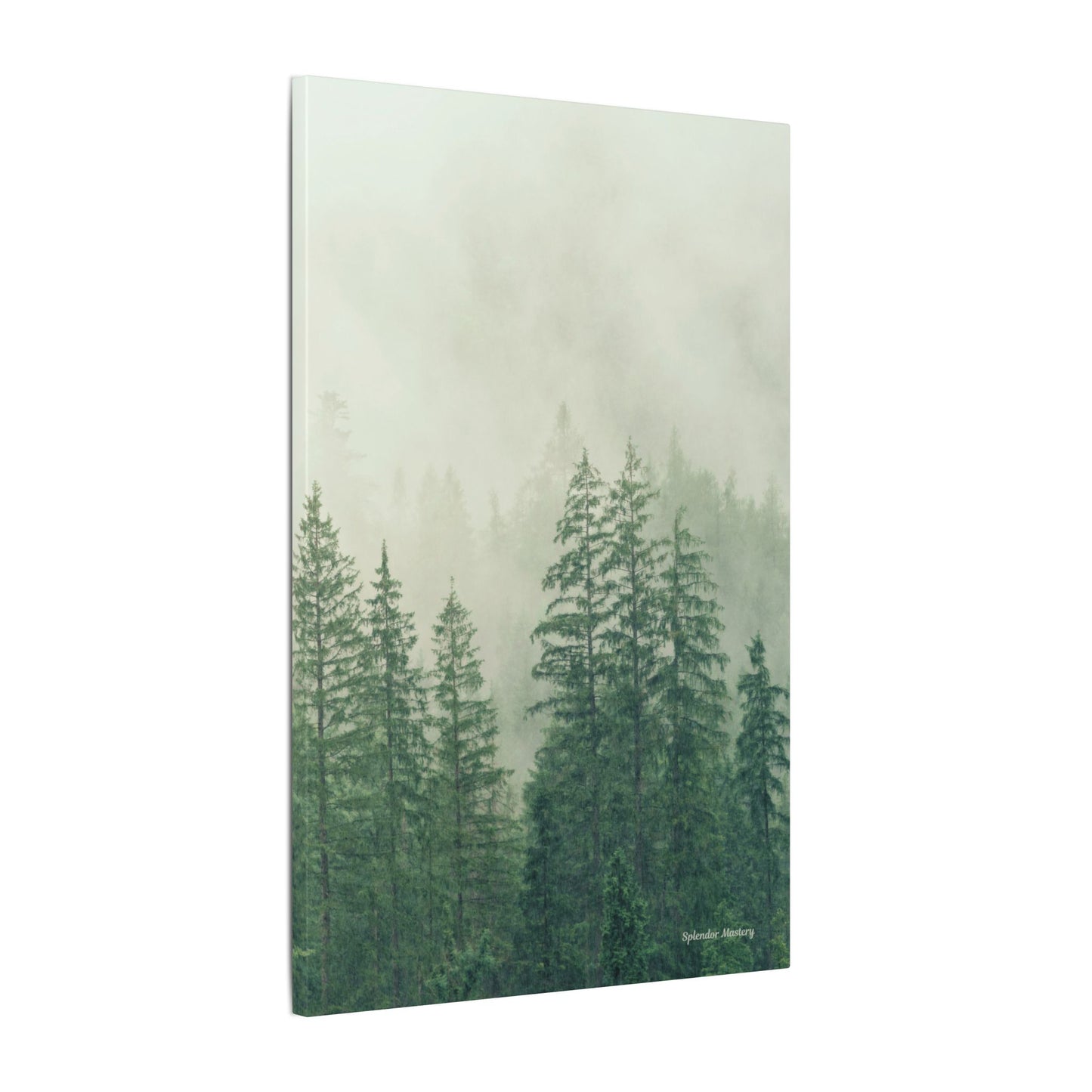 Forest Trees, Matte Canvas, Stretched, 0.75"