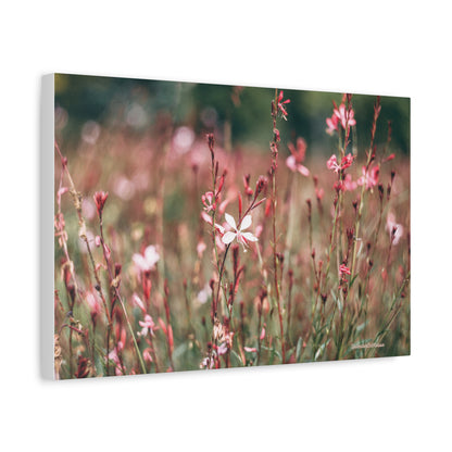 Floral, Matte Canvas, Stretched, 1.25"