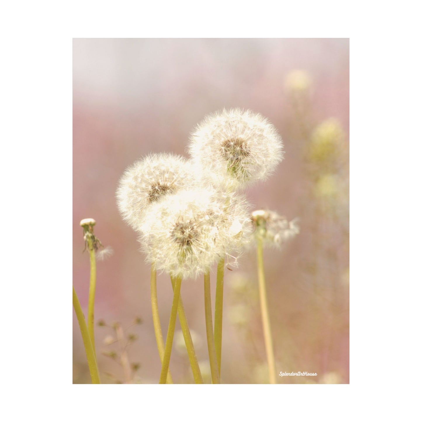 Floral, Matte Vertical Poster