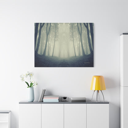 Forest, Matte Canvas, Stretched, 1.25"