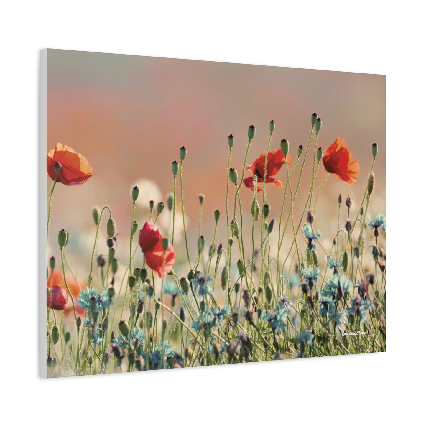 Floral, Matte Canvas, Stretched, 1.25"