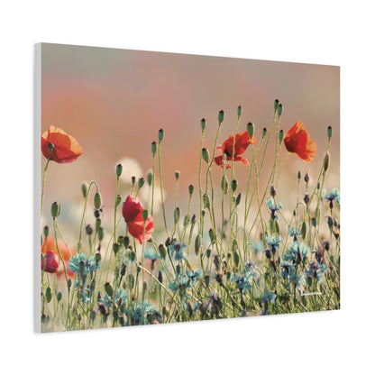 Floral, Matte Canvas, Stretched, 1.25"