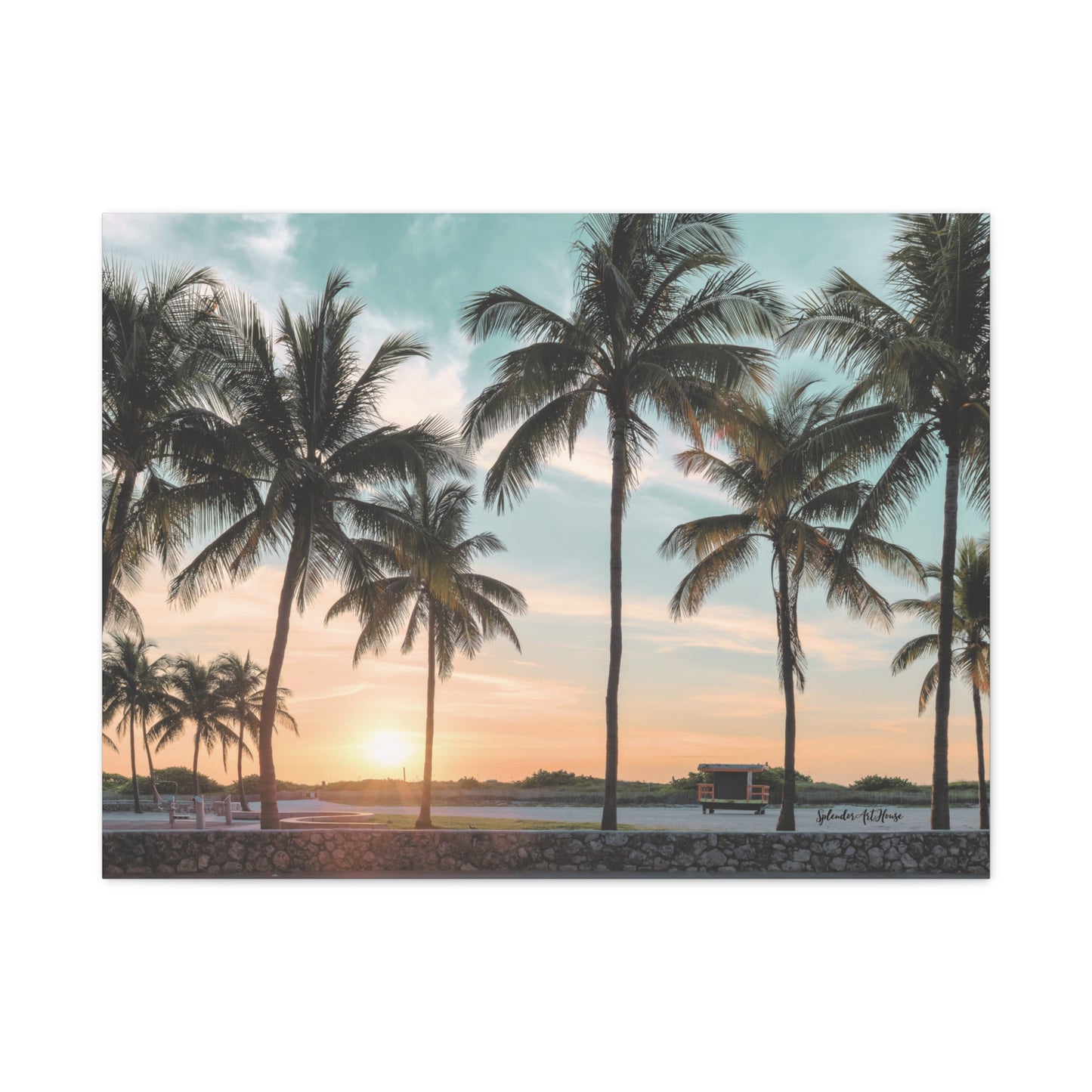 Palm Trees, Matte Canvas, Stretched, 1.25"