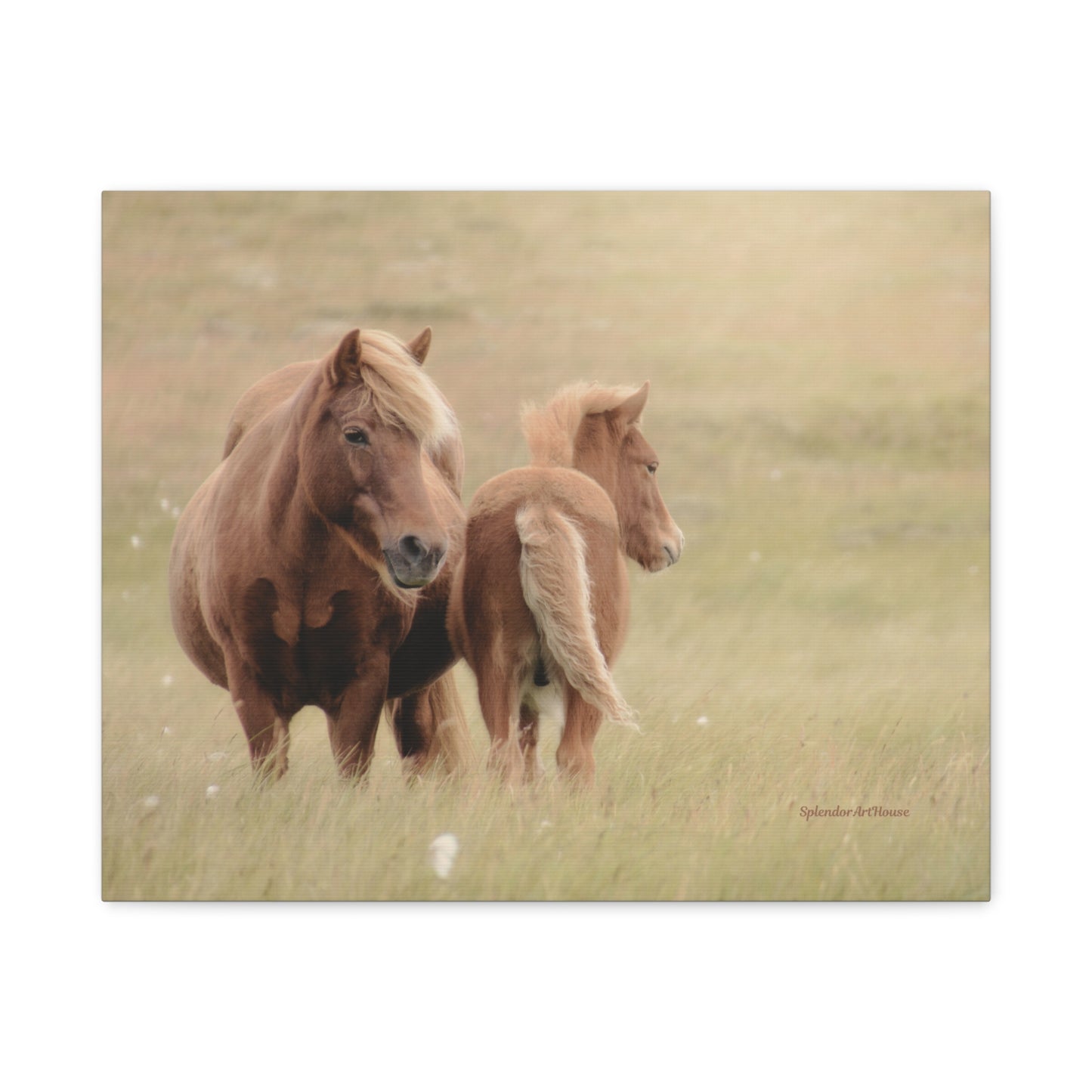 Wild Horses, Matte Canvas, Stretched, 1.25"