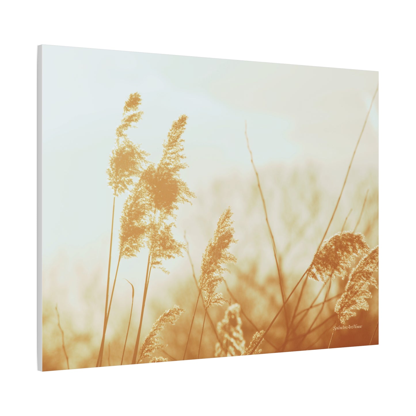Grass, Matte Canvas, Stretched, 1.25"