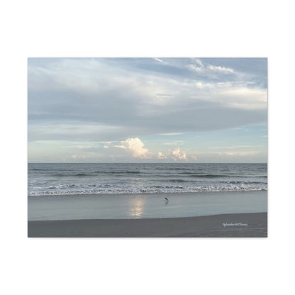 Ocean, Matte Canvas, Stretched, 1.25"