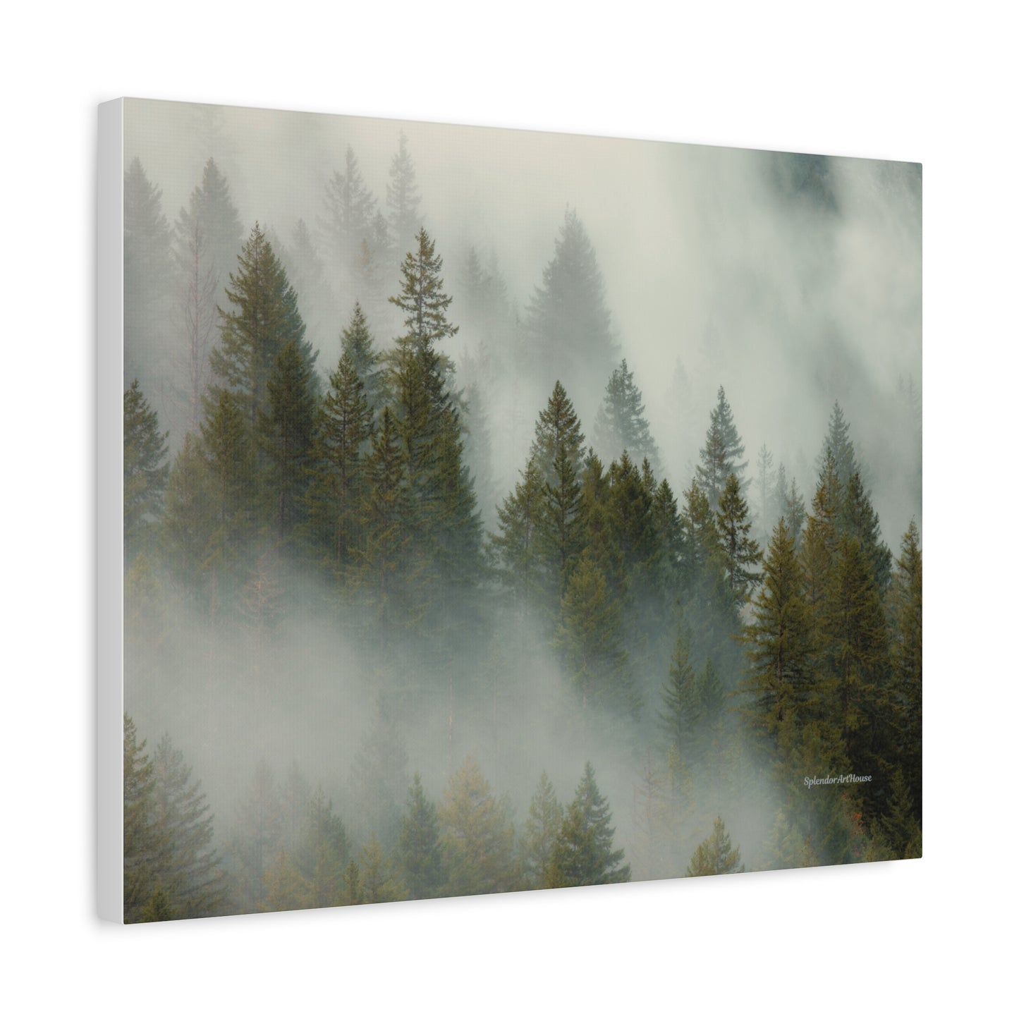 Forest, Matte Canvas, Stretched, 1.25"
