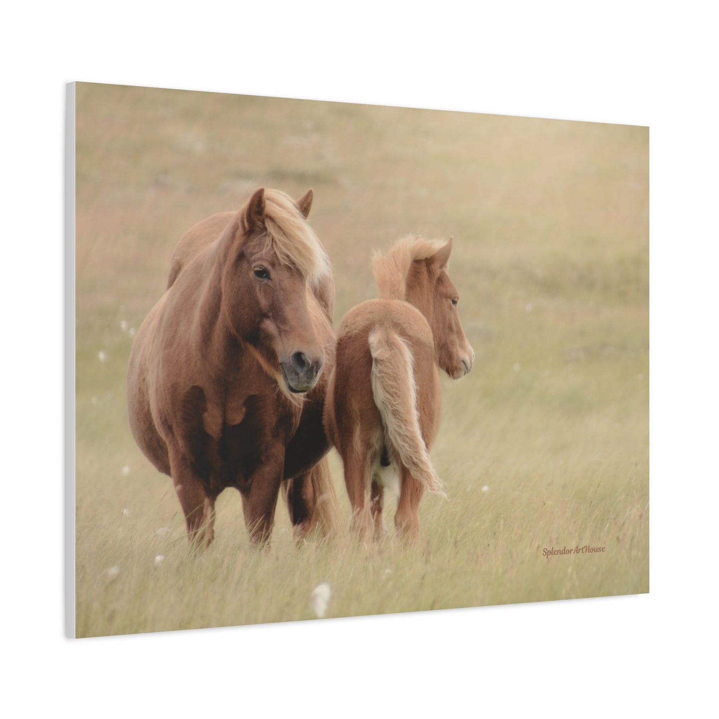 Wild Horses, Matte Canvas, Stretched, 1.25"