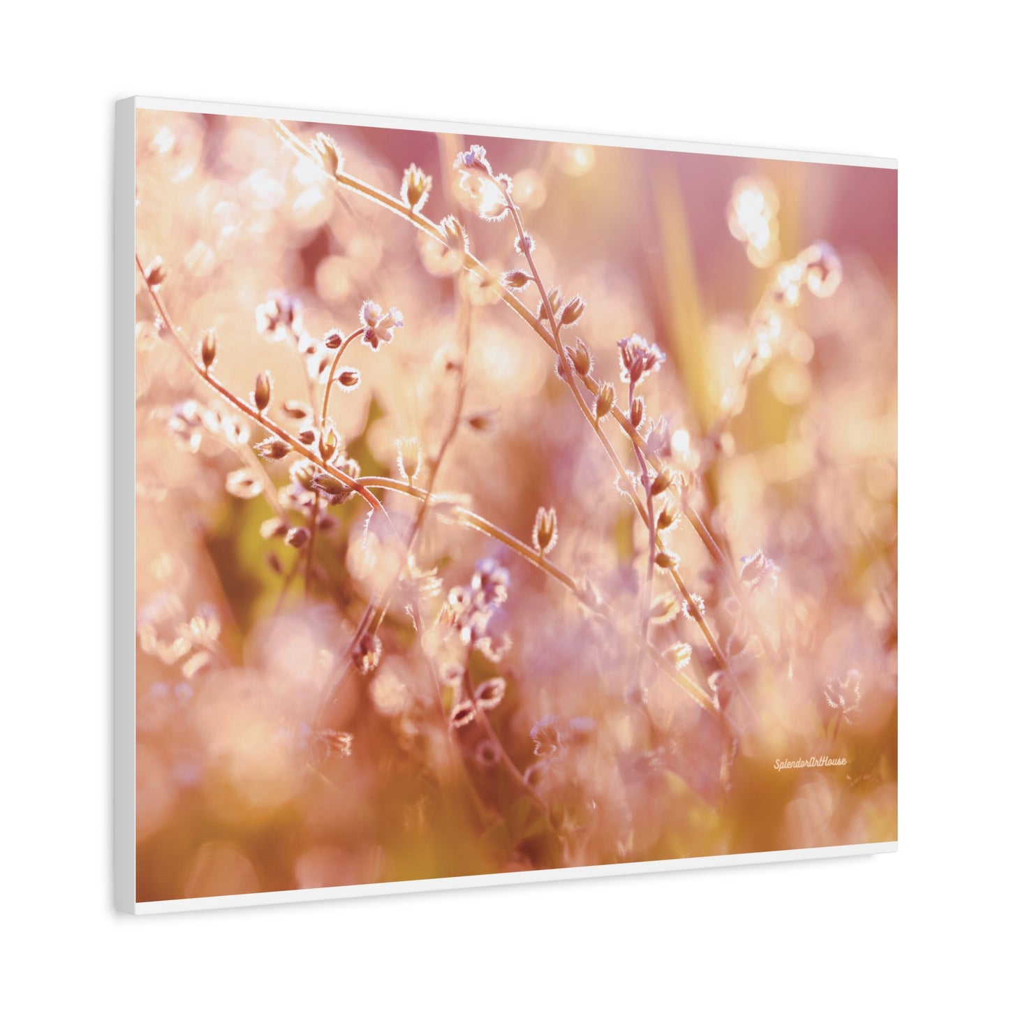 Floral, Matte Canvas, Stretched, 1.25"