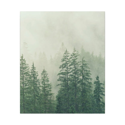 Forest Trees, Matte Canvas, Stretched, 0.75"