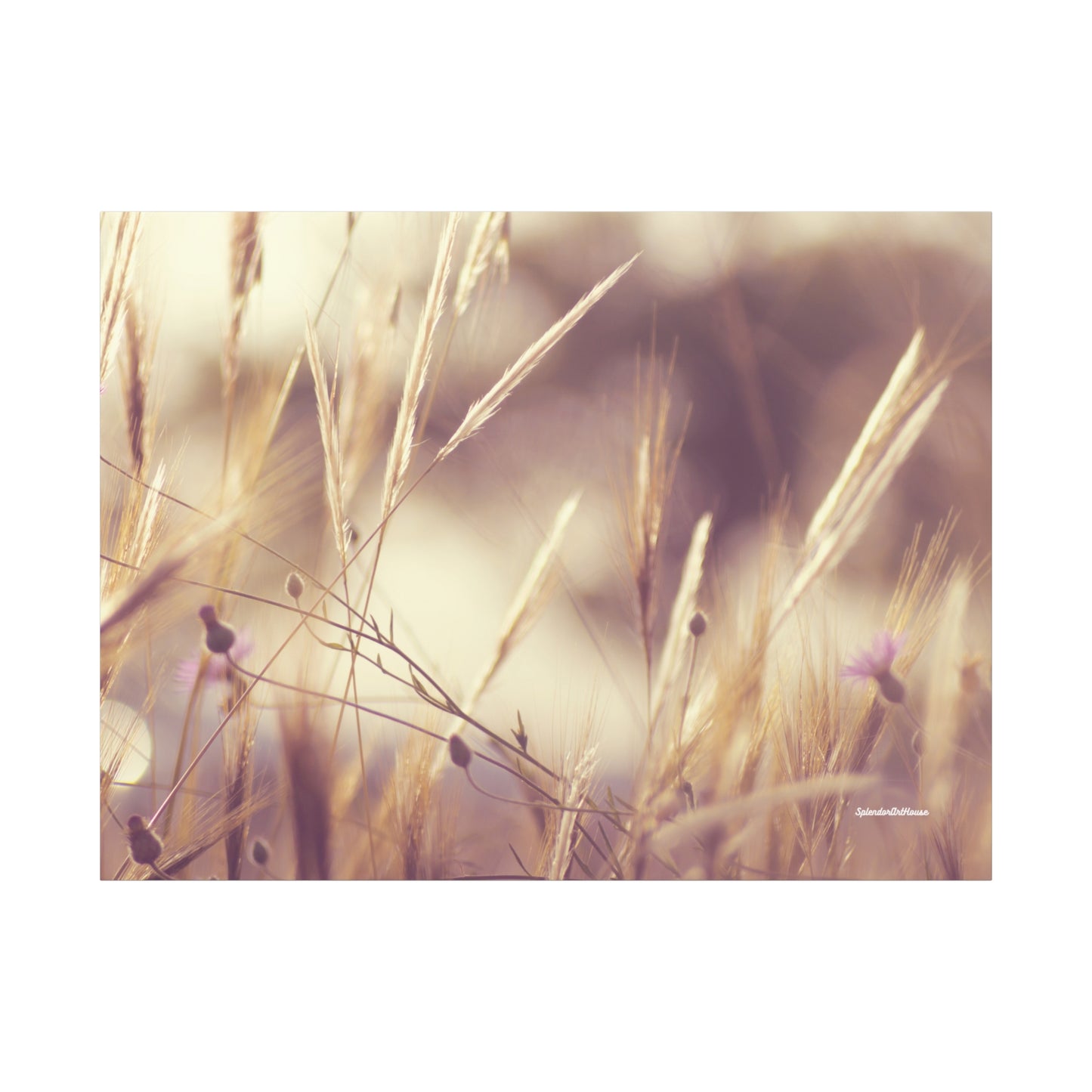 Grass, Matte Canvas, Stretched, 1.25"