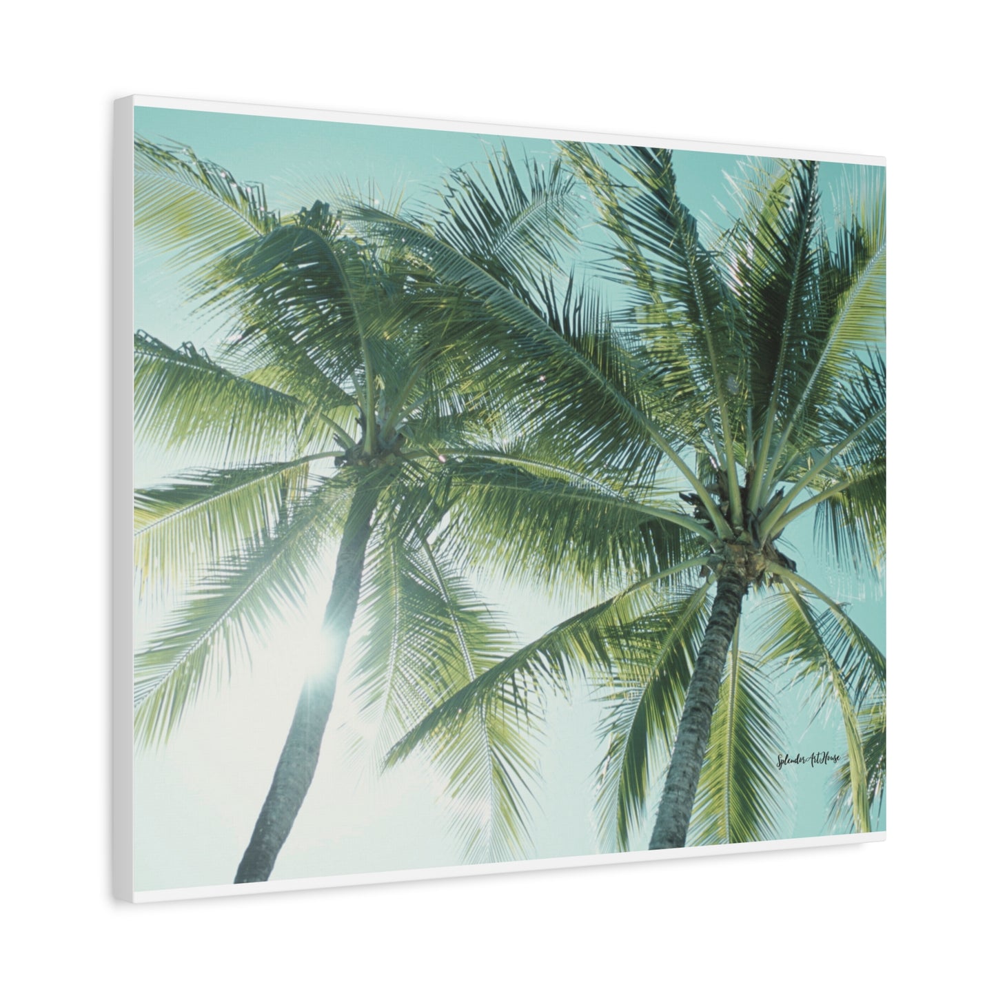 Palm Trees, Matte Canvas, Stretched, 1.25"