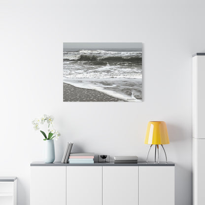 Ocean, Matte Canvas, Stretched, 1.25"