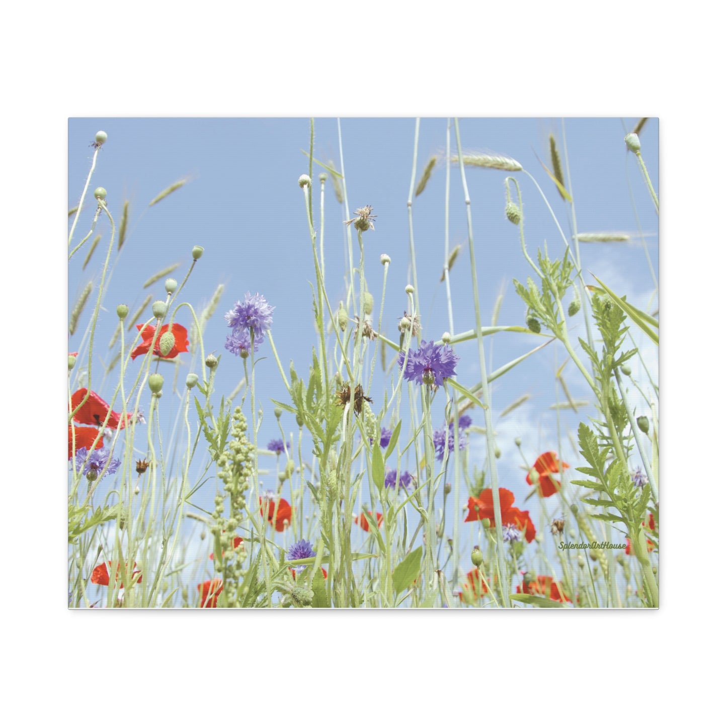 Floral, Matte Canvas, Stretched, 1.25"