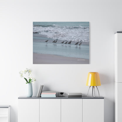 Birds, Matte Canvas, Stretched, 1.25"