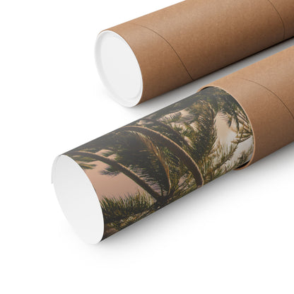 Palm Trees, Matte Horizontal Poster