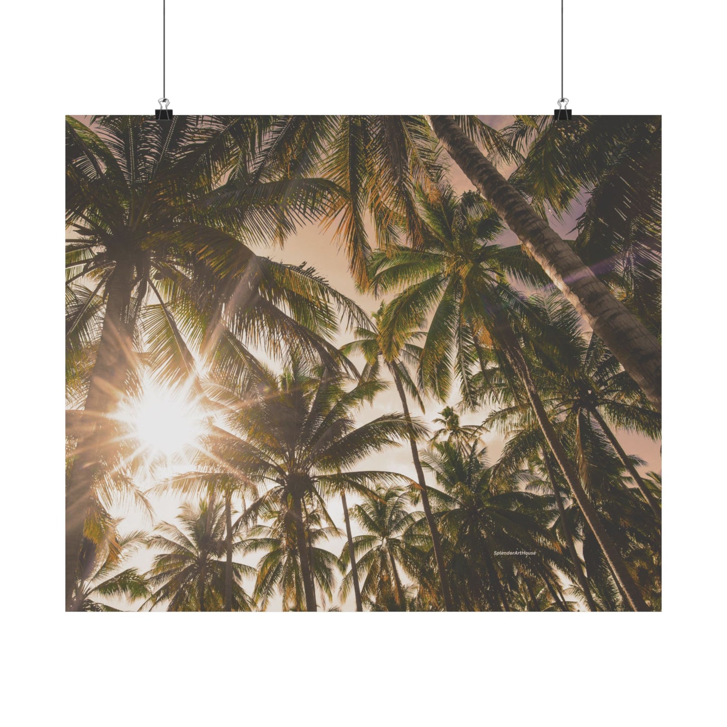 Palm Trees, Matte Horizontal Poster