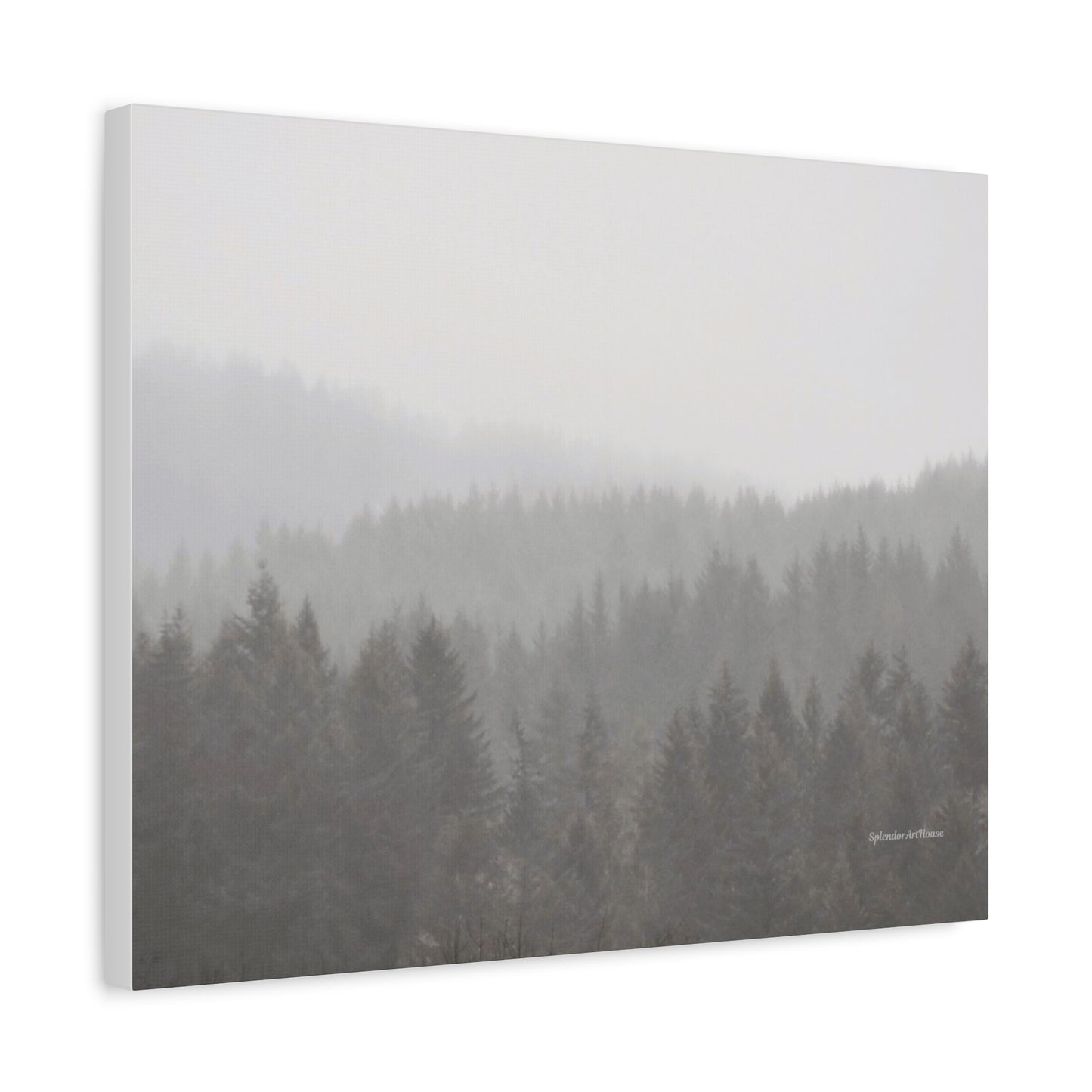Forest, Matte Canvas, Stretched, 1.25"