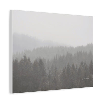 Forest, Matte Canvas, Stretched, 1.25"