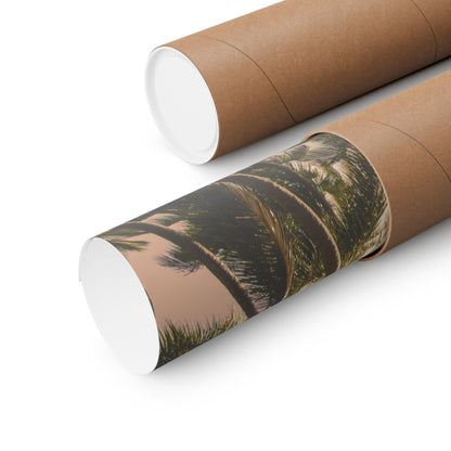 Palm Trees, Matte Horizontal Poster