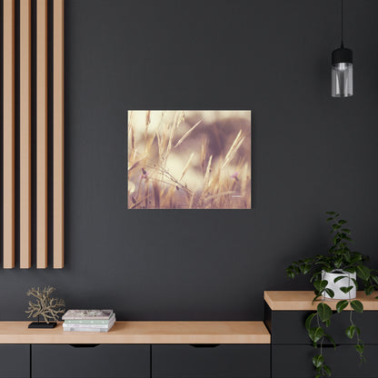 Grass, Matte Canvas, Stretched, 1.25"