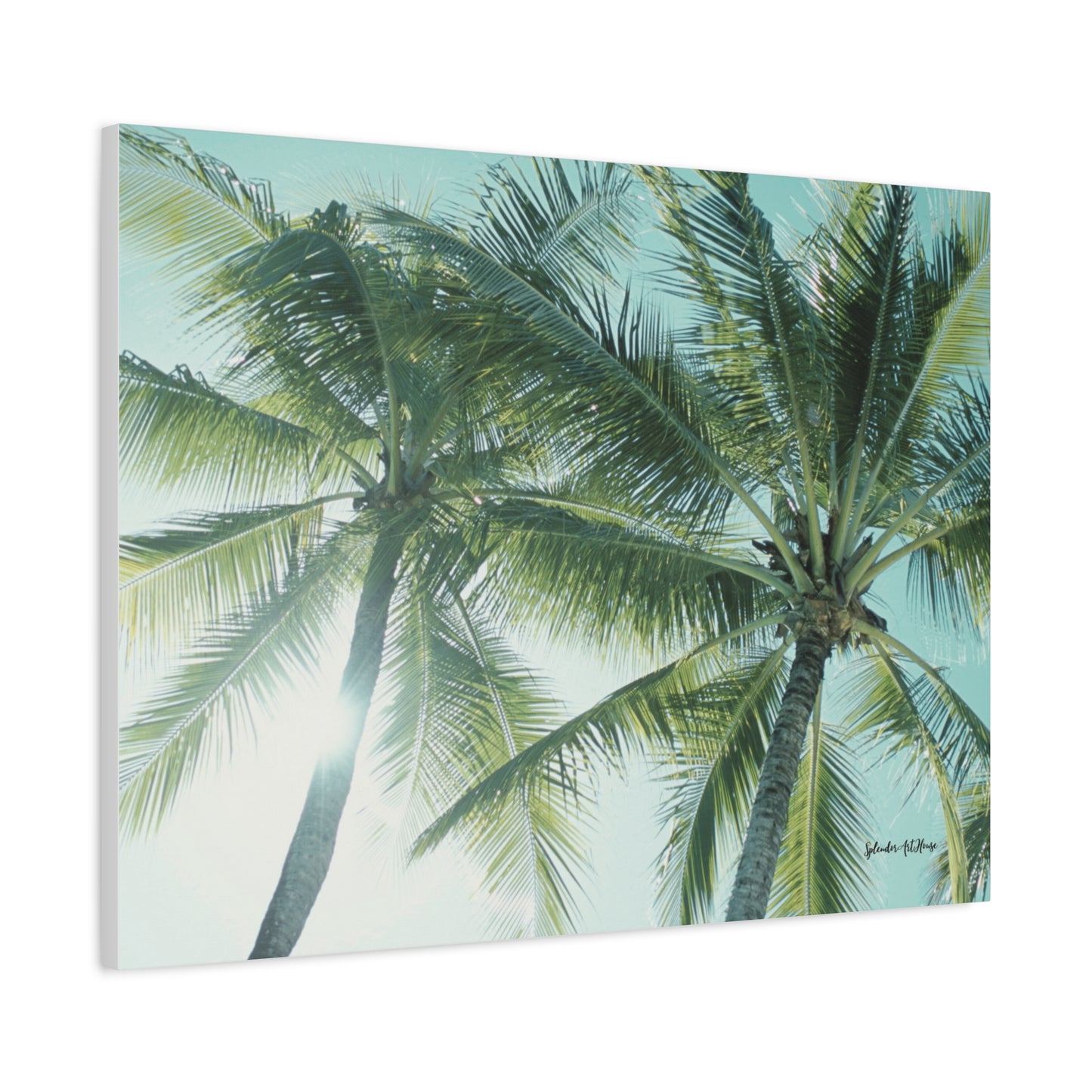 Palm Trees, Matte Canvas, Stretched, 1.25"