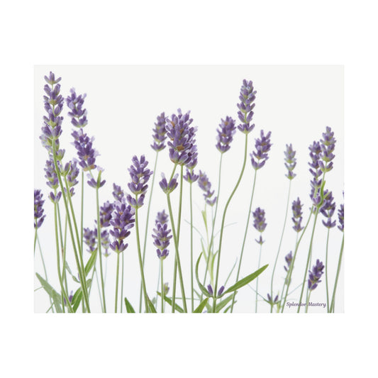 Floral, Matte Poster