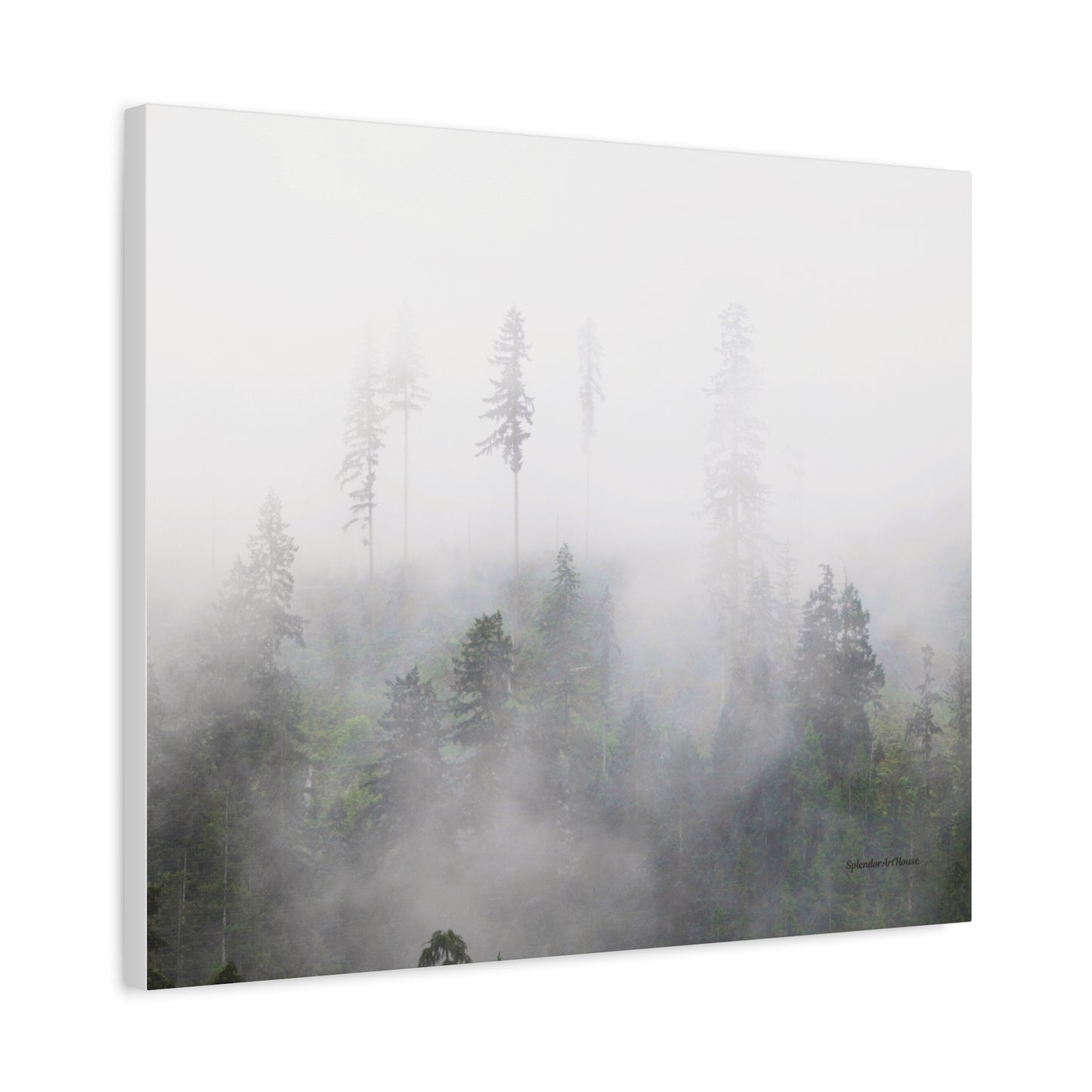 Forest, Matte Canvas, Stretched, 1.25"