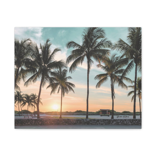 Palm Trees, Matte Canvas, Stretched, 1.25"