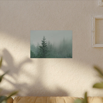 Forest Trees, Matte Canvas, Stretched, 0.75"