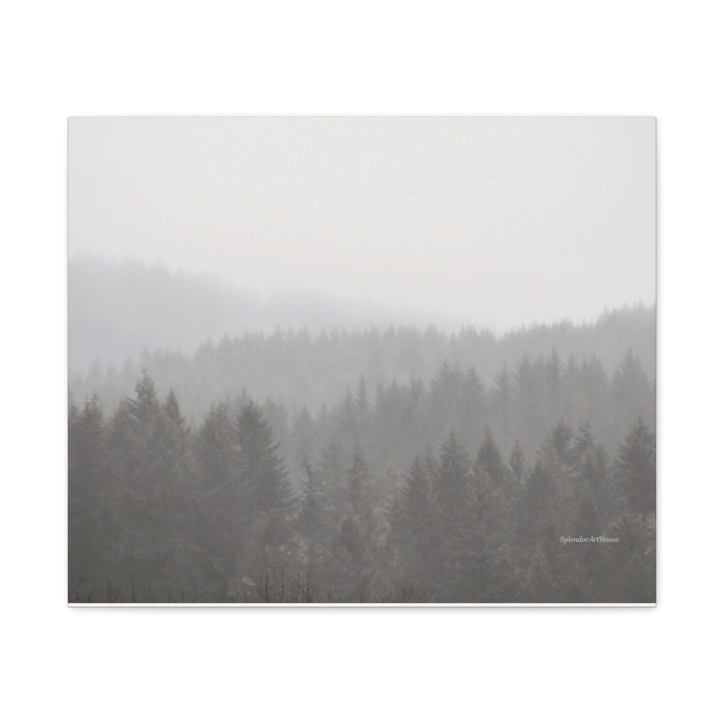 Forest, Matte Canvas, Stretched, 1.25"