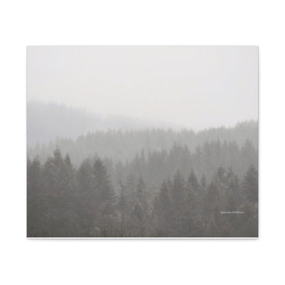 Forest, Matte Canvas, Stretched, 1.25"