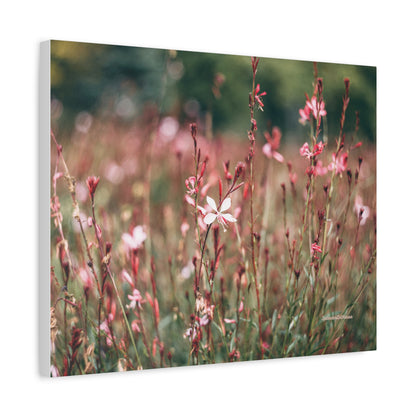 Floral, Matte Canvas, Stretched, 1.25"