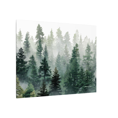 Forest Trees, Matte Canvas, Stretched, 0.75"