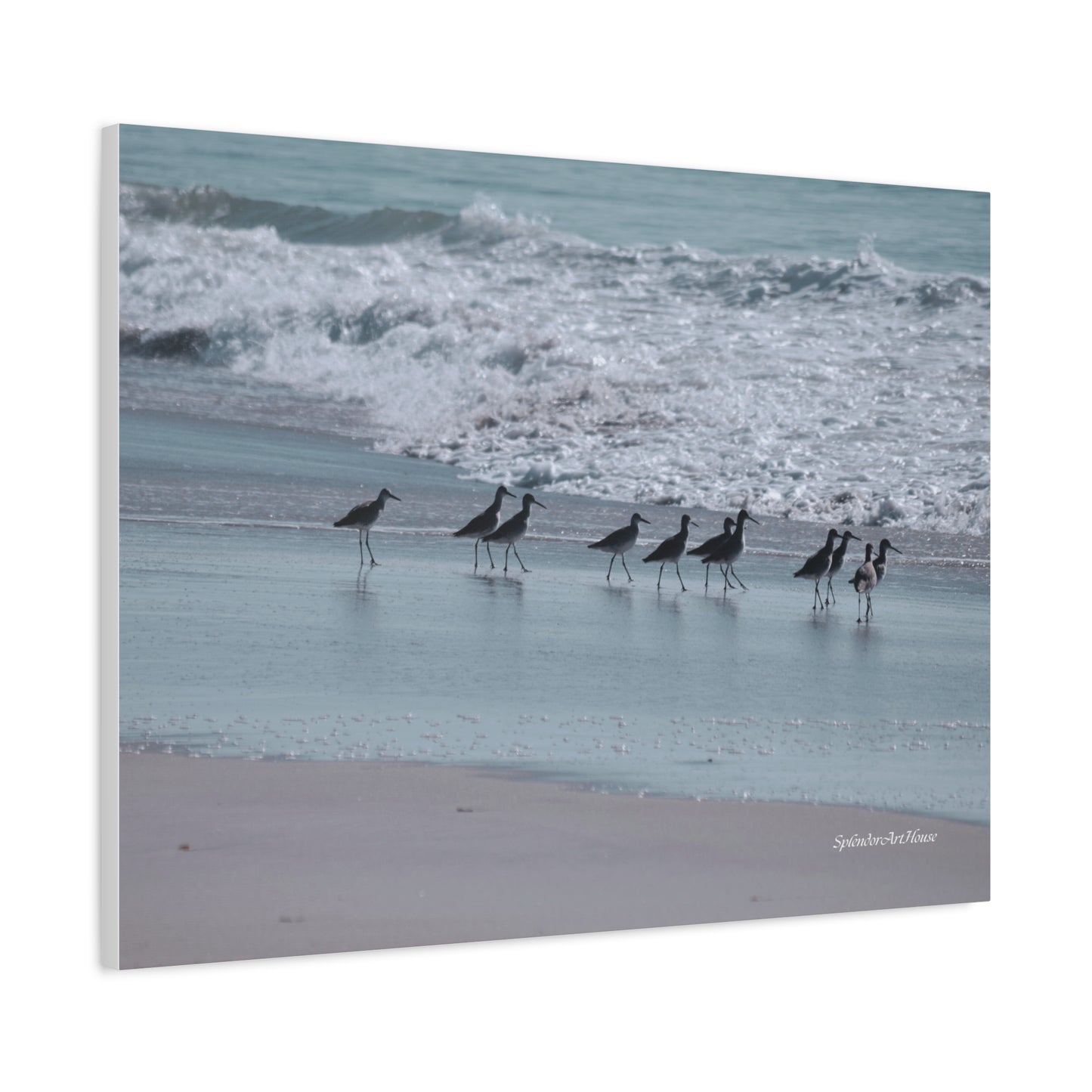 Birds, Matte Canvas, Stretched, 1.25"