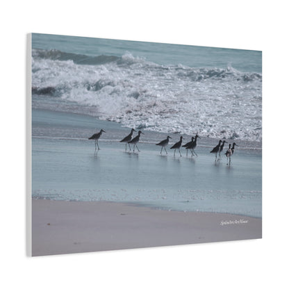 Birds, Matte Canvas, Stretched, 1.25"