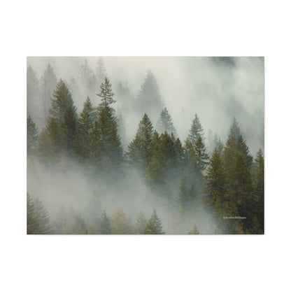 Forest, Matte Canvas, Stretched, 1.25"