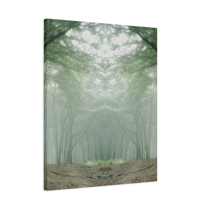 Forest, Matte Canvas, Stretched, 1.25"