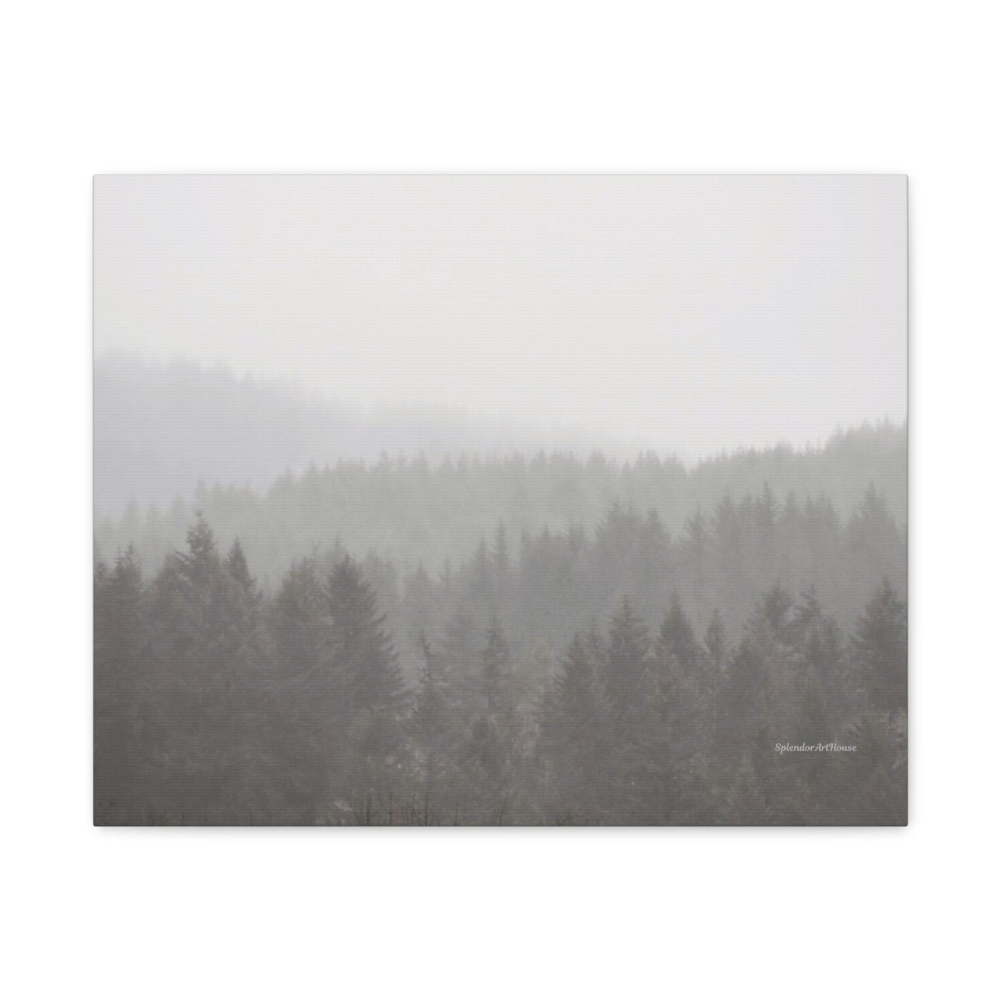 Forest, Matte Canvas, Stretched, 1.25"